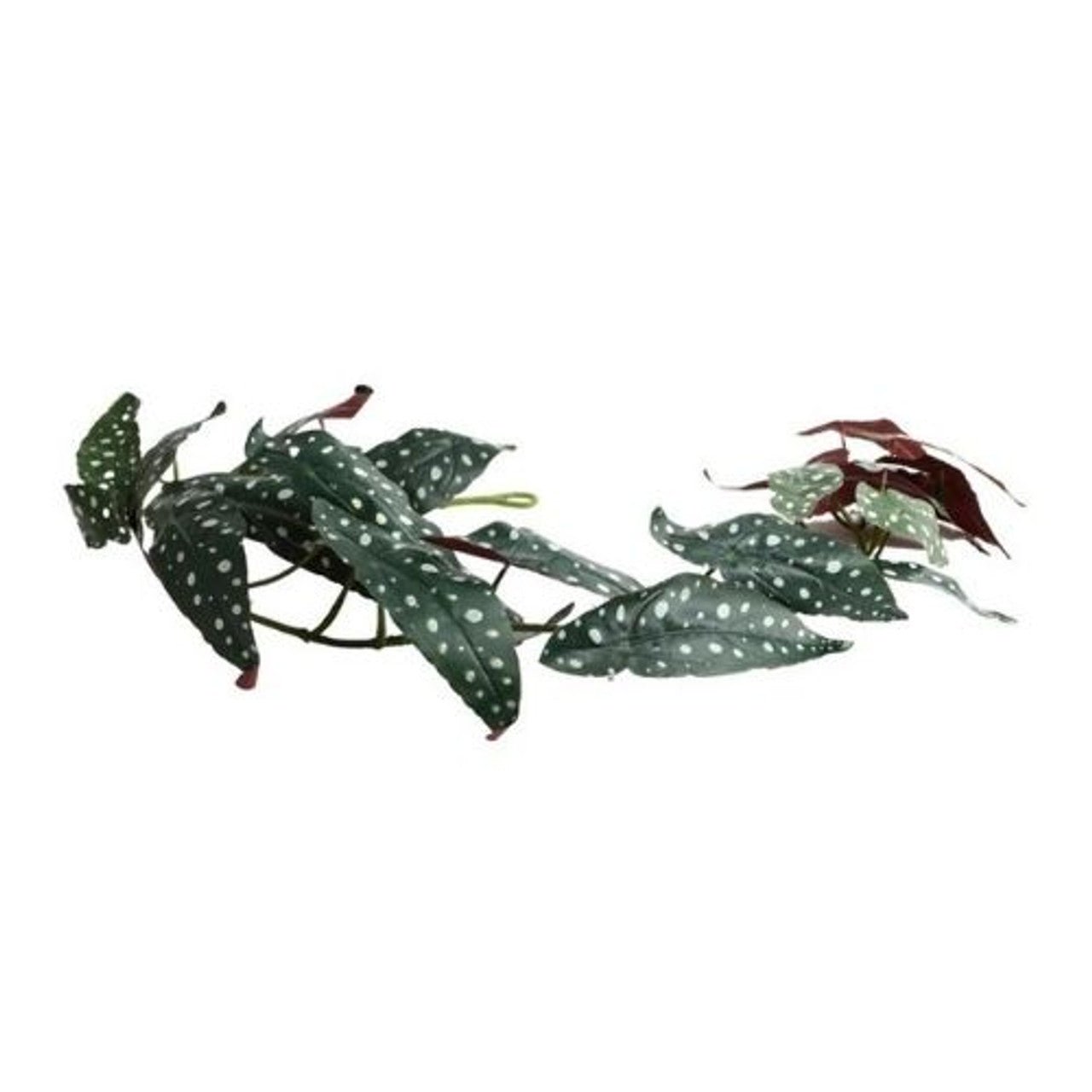 Artificial 120cm Polka Dot Begonia - Future Decor