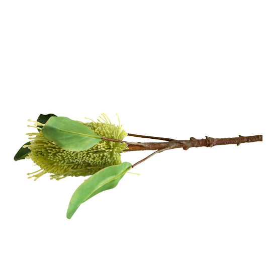 Artificial Flower - Green Pincushion - Future Decor