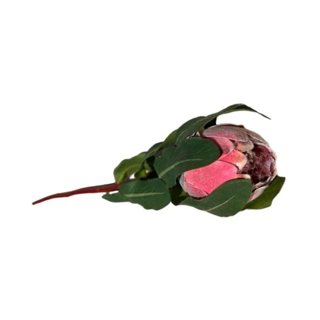 Artificial Flower - Pink Protea 46cm - Future Decor