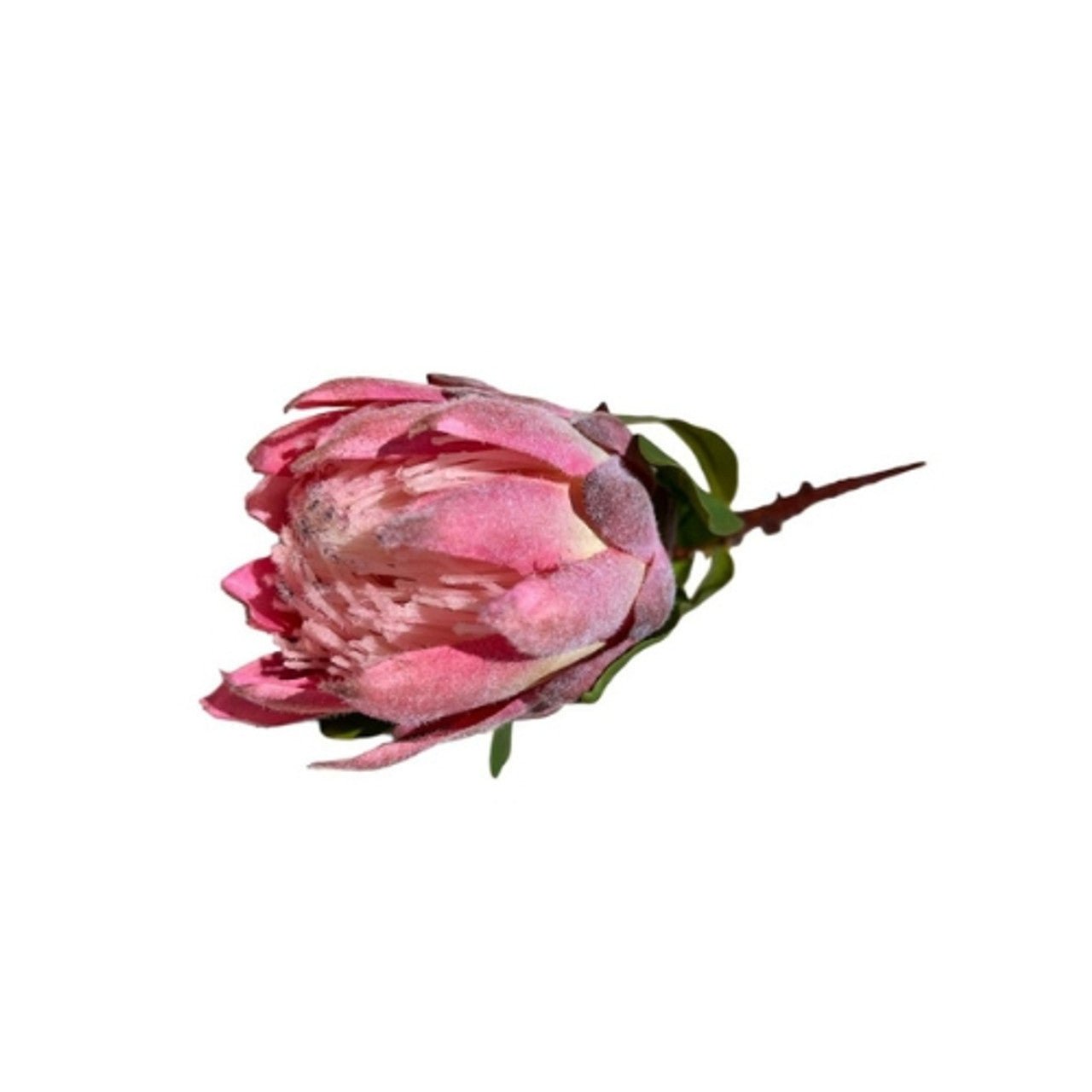 Artificial Flower - Pink Protea 60cm - Future Decor