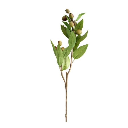 Artificial Fruit - Weeping Fig Branch - Future Decor