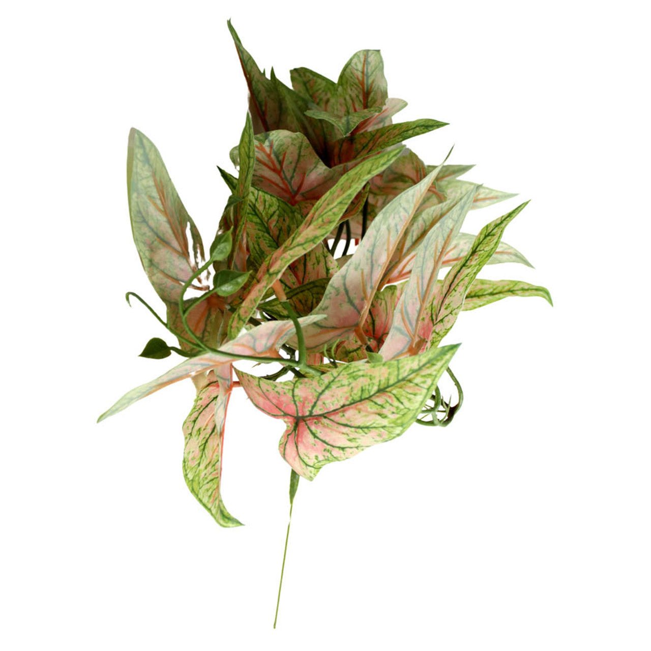 Artificial Leaf Branch - Red And Green Chinese Evergreen - Future Decor