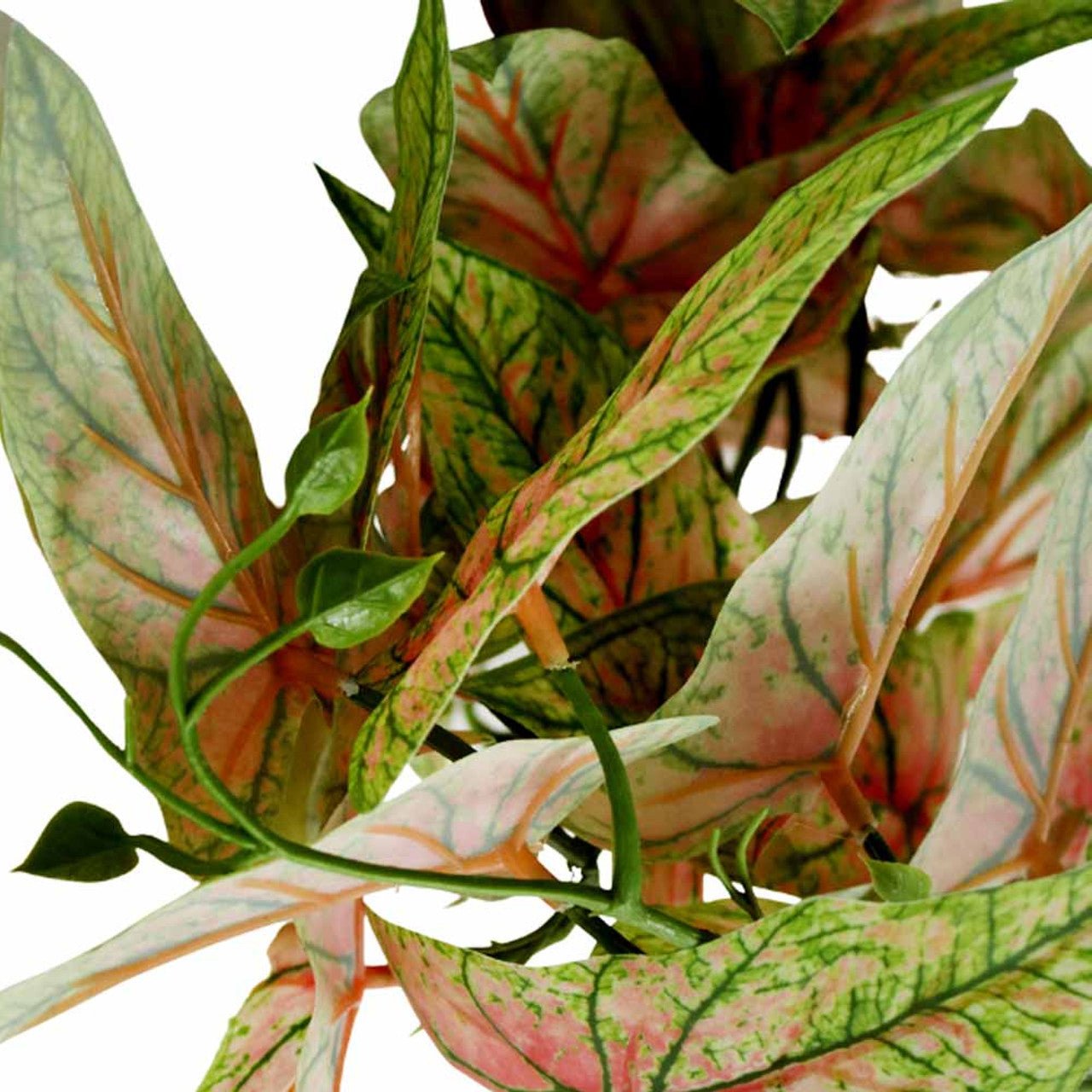 Artificial Leaf Branch - Red And Green Chinese Evergreen - Future Decor