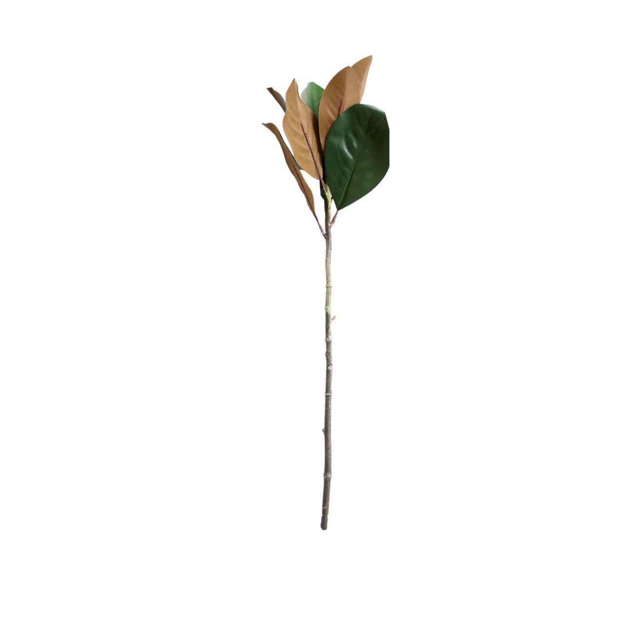 Artificial Leaves Branch - Brown And Green Magnolia - Future Decor