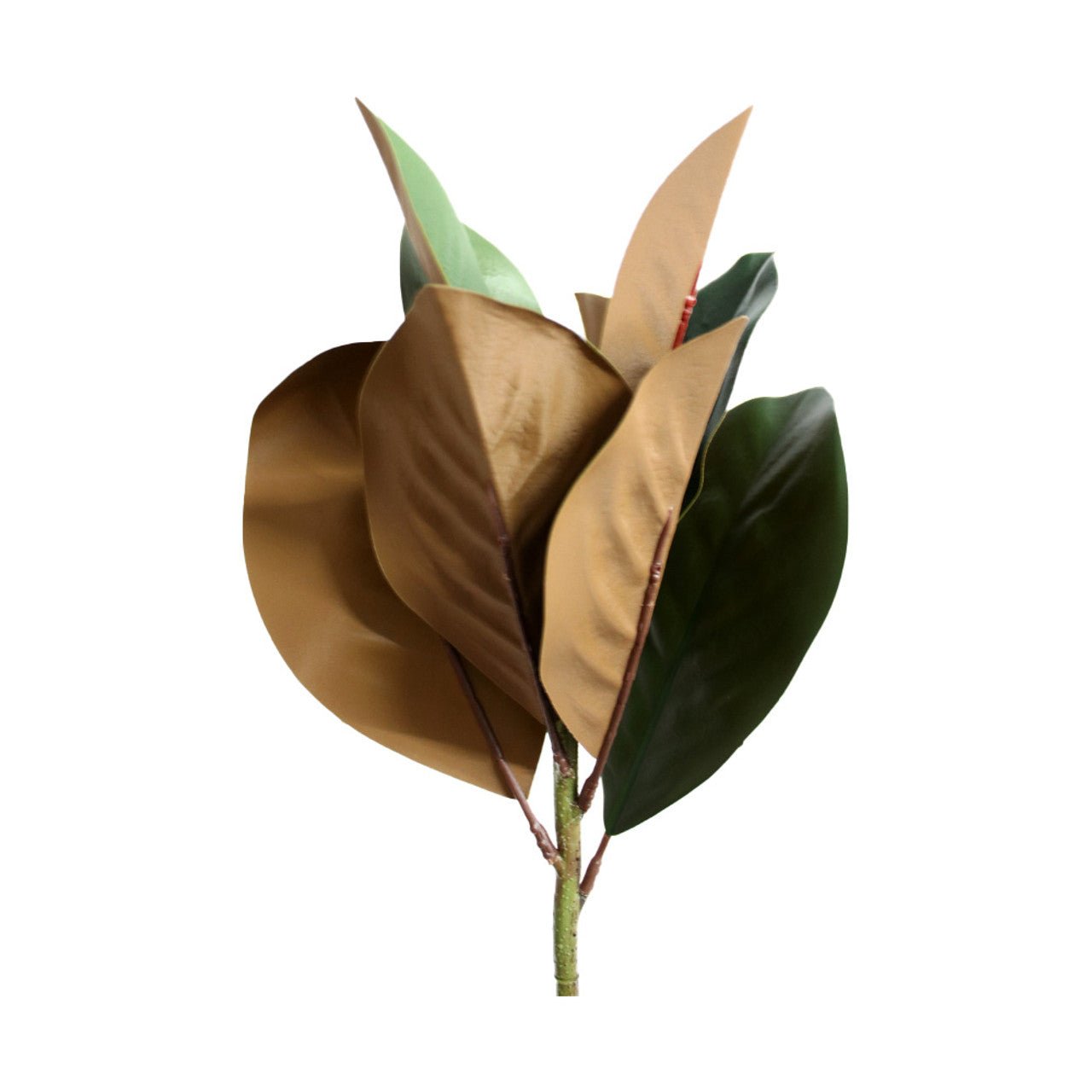 Artificial Leaves Branch - Brown And Green Magnolia - Future Decor