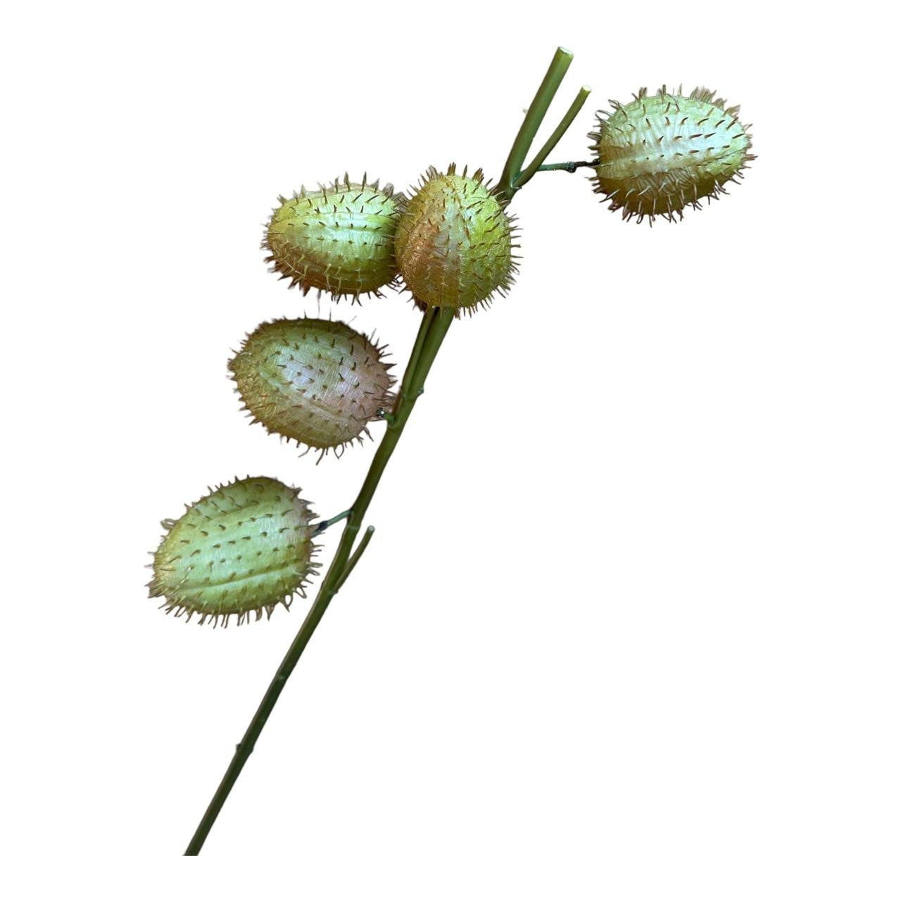 Artificial Plant - Green Thorn Apple - Future Decor