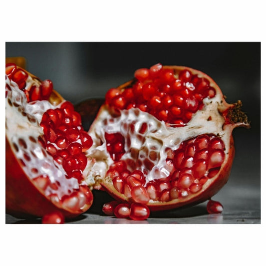 Disposable Placemat - Open Pomegranate - 24 Pack - Future Decor