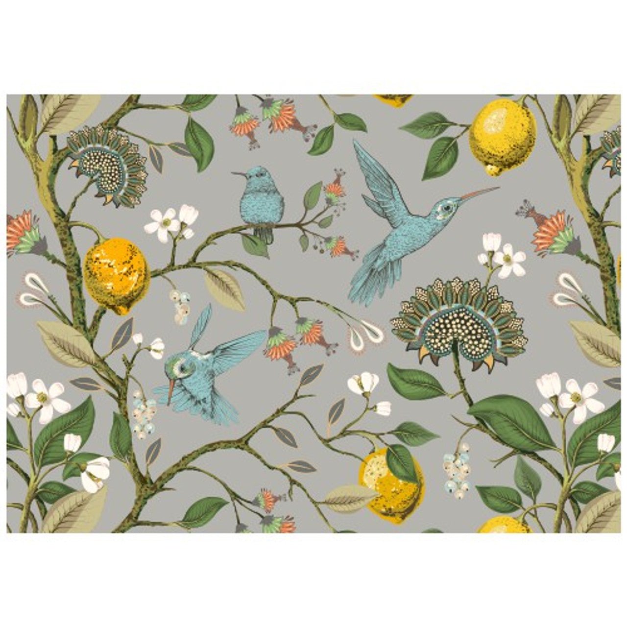 Disposable Placemats - Grey Humming Bird - Future Decor