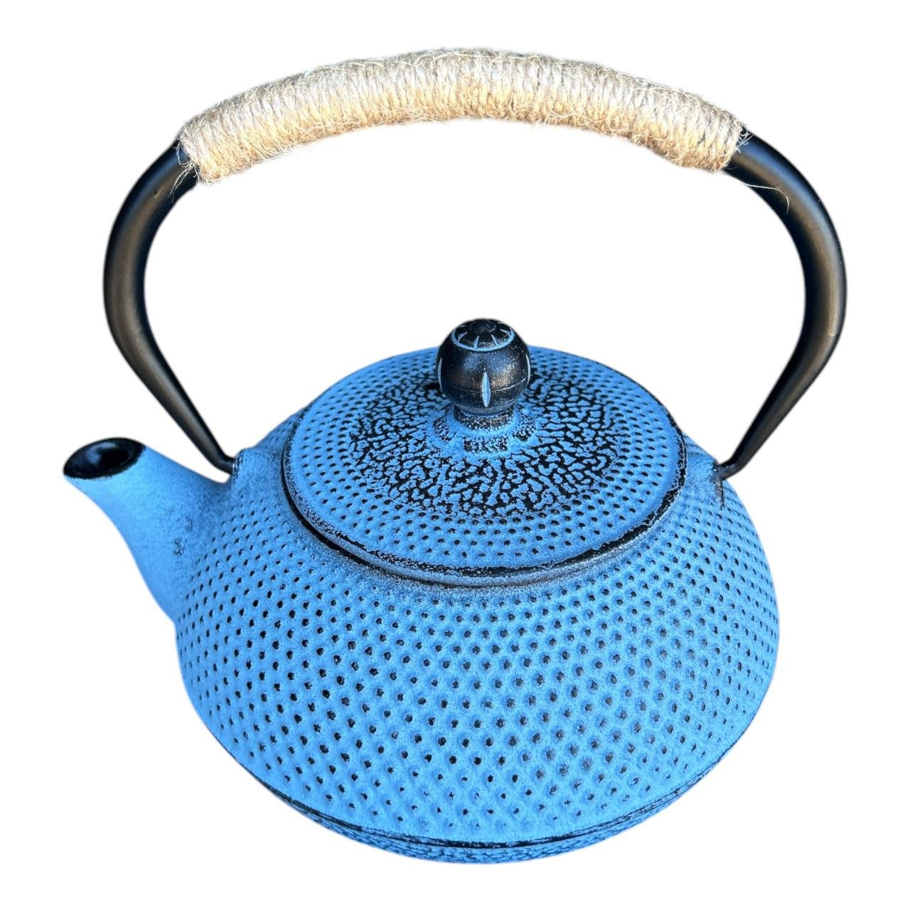 Iron Metal Teapot 900ml - Blue - Future Decor