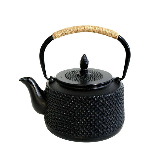 Iron Teapot - Black 850ml - Future Decor