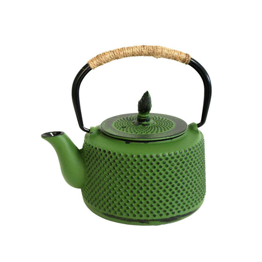 Iron Teapot - Green 850ml - Future Decor